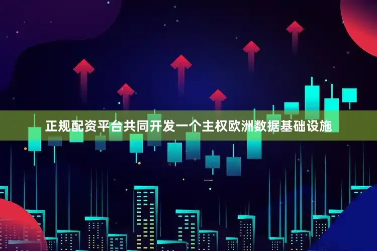 正规配资平台共同开发一个主权欧洲数据基础设施