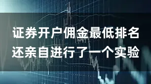证券开户佣金最低排名还亲自进行了一个实验