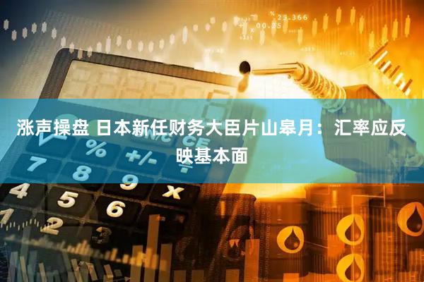 涨声操盘 日本新任财务大臣片山皋月：汇率应反映基本面