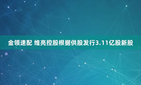 金领速配 维亮控股根据供股发行3.11亿股新股