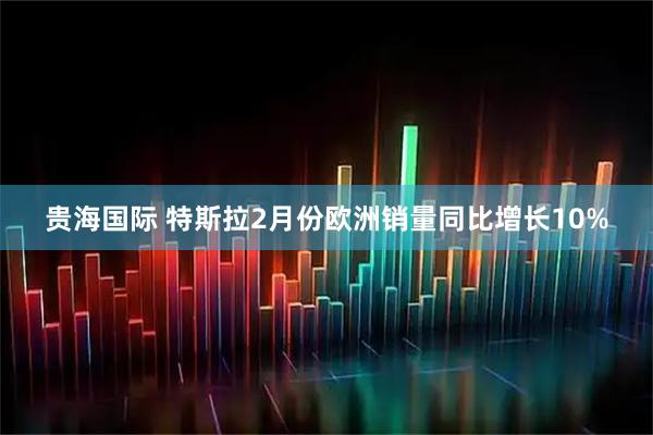 贵海国际 特斯拉2月份欧洲销量同比增长10%